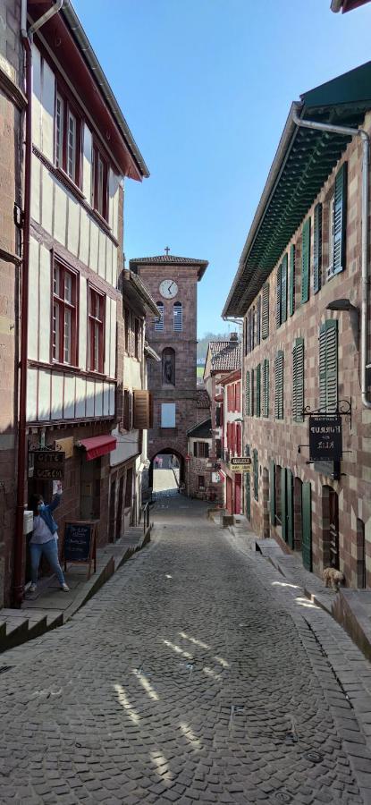 Gite Ultreia Vertes Montagnes Saint-Jean-Pied-de-Port Exteriér fotografie